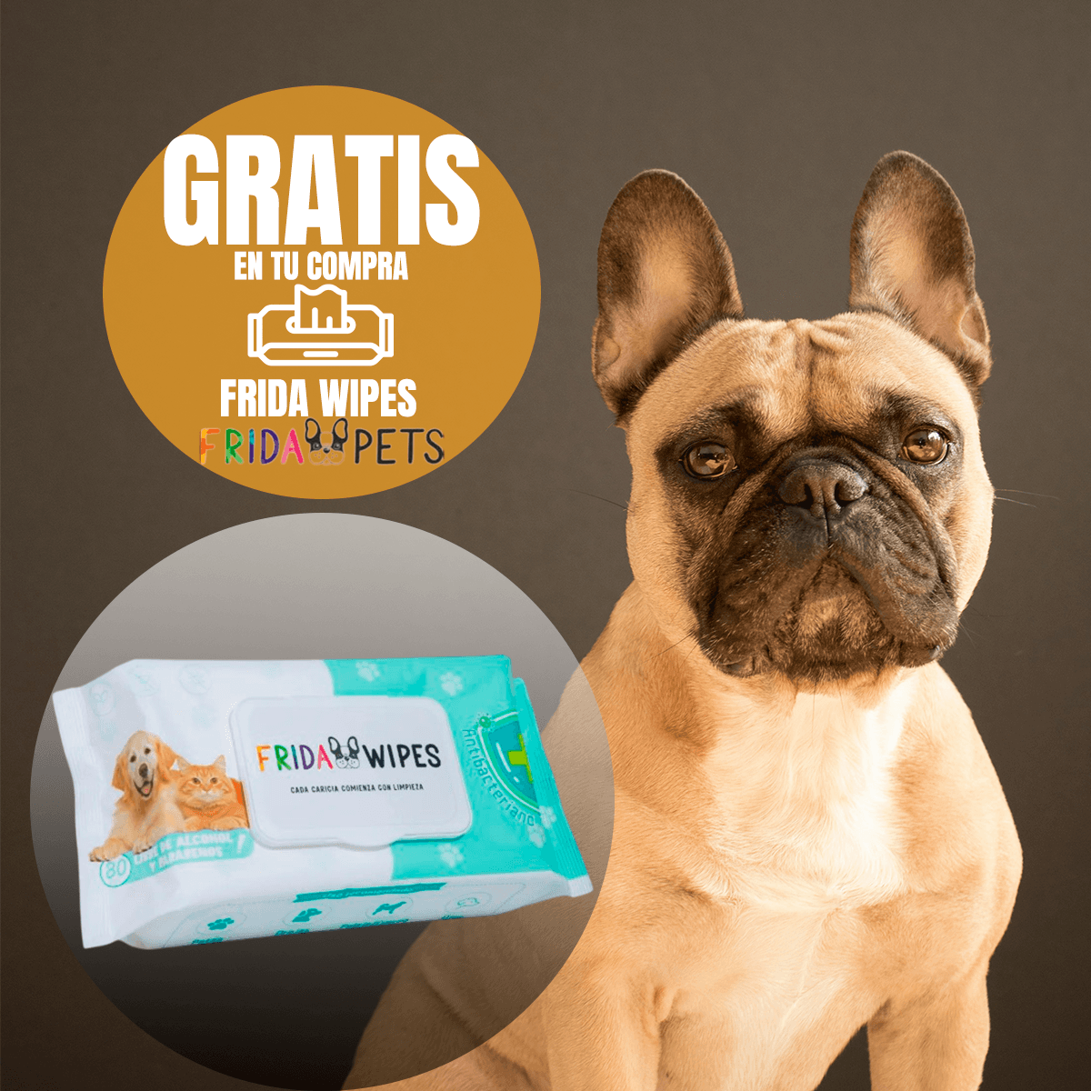 Pack Nupec 20 latas Digestive alimento húmedo con Frida Wipes